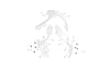 Caoutchouc fixation STARK Varg