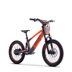 Draisienne électrique SEDNA SX20 orange