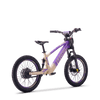 Draisienne électrique SEDNA SX20 violet