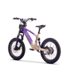 Draisienne électrique SEDNA SX18 violet