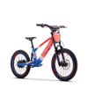 Draisienne électrique SEDNA SX20 bleu/blanc/rouge