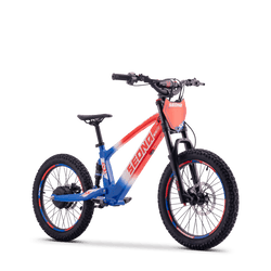 Draisienne électrique SEDNA SX20 bleu/blanc/rouge