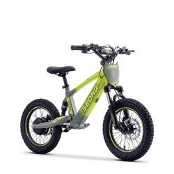 Draisienne électrique SEDNA SX16 vert