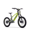 Draisienne électrique SEDNA SX20 vert