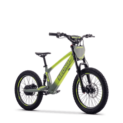Draisienne électrique SEDNA SX20 vert