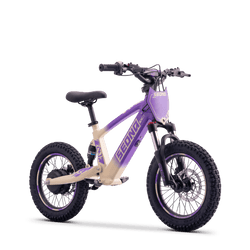 Draisienne électrique SEDNA SX16 violet