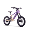 Draisienne électrique SEDNA SX18 violet