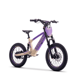 Draisienne électrique SEDNA SX18 violet