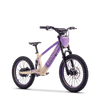 Draisienne électrique SEDNA SX20 violet