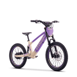Draisienne électrique SEDNA SX20 violet