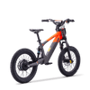Draisienne électrique SEDNA SX18 orange