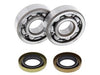 Kit Roulements de vilebrequin ALL BALLS Husqvarna CR65