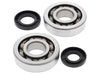 Kit Roulements de vilebrequin ALL BALLS Kawasaki KX250